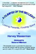 A Glimpse of the Big Light: Losing Pare