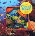 The Coral Reef Tunnel Book: Take a Peek Under the Sea!