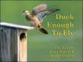 Duck Enough to Fly