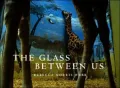 The Glass Between Us: Photographs by Rebecca Norris Webb