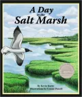 Day in the Salt Marsh, A