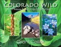 Colorado Wild: An Intimate Portrait of the Centennial State