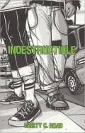 Indestructible