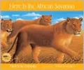 Here Is the African Savanna