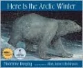 Here Is the Arctic Winter