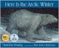 Here Is the Arctic Winter