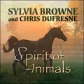 Spirit of Animals