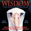 Wisdom, the Midway Albatross