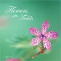 2012 Flowers of the Fields Wall Calendar