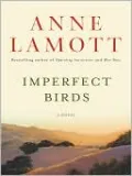 Imperfect Birds