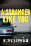 A Stranger Like You