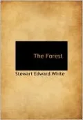 The Forest