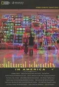 Cultural Identity in America