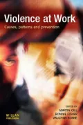 Violence at Work: Causes, Patterns and Prevention