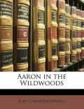Aaron in the Wildwoods