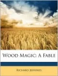 Wood Magic