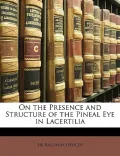 On the Presence and Structure of the Pineal Eye in Lacertilia