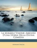 La Mirabile Visione: Abbozzo D'Una Storia Della Divina Comedia