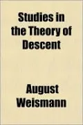 Studies in the Theory of Descent