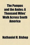 The Pampas and the Andes