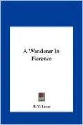 A Wanderer In Florence