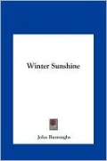 Winter Sunshine