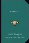 Autumn