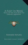 A Fleet in Being