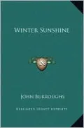 Winter Sunshine