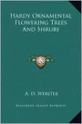Hardy Ornamental Flowering Trees And Shrubs