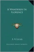 A Wanderer In Florence