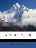 Winter Sunshine