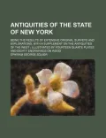 Antiquities of the State of New York
