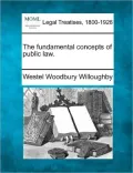 The Fundamental Concepts of Public Law.