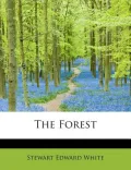 The Forest