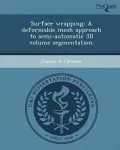 Surface Wrapping