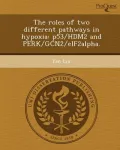 The Roles of Two Different Pathways in Hypoxia
