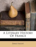 A Literary History of France