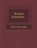 Winter Sunshine...