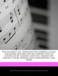 The Celebrity 411