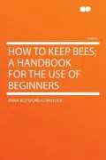 How to Keep Bees