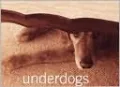 "Underdogs" Note Cards (2 Piece Box)