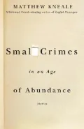 Small Crimes in an Age of Abundance