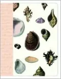 Seashell Journal