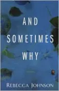 And Sometimes Why