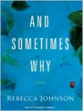And Sometimes Why
