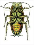 The Exterminators: Volume 1 Bug Brothers