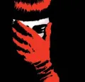 Absolute V for Vendetta