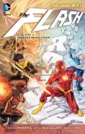 The Flash Vol. 2