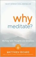 Why Meditate: Working with Thoughts and Emotions